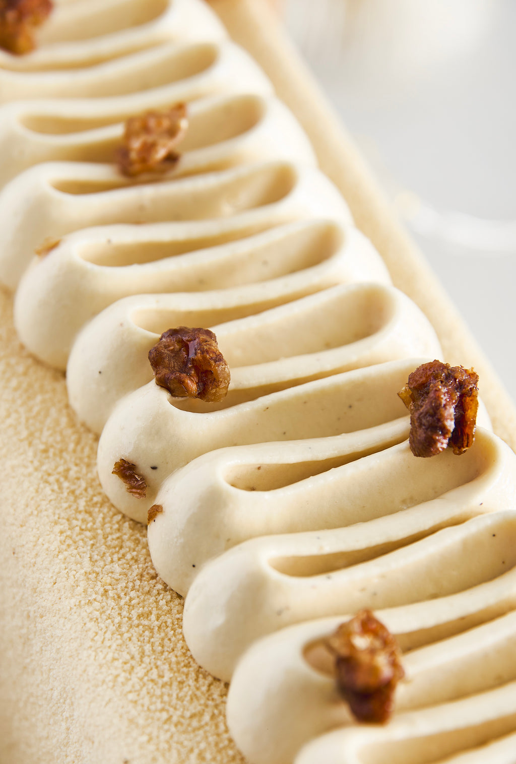 Bûche HELSINKI - 6 parts